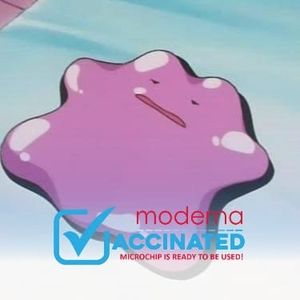 Meet your Posher, Bug